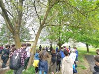 IMG_20220423_122920_risultatook