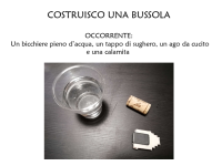 bussola1