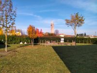 IMG-20211105-WA0015