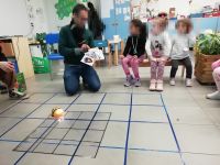 bee