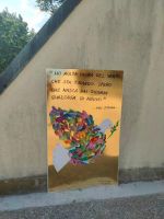 IMG-20220515-WA0011